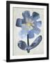 Sea Flower I-Chariklia Zarris-Framed Art Print