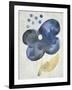 Sea Flower III-Chariklia Zarris-Framed Art Print