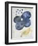 Sea Flower III-Chariklia Zarris-Framed Art Print