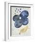 Sea Flower III-Chariklia Zarris-Framed Art Print