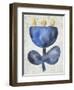 Sea Flower VI-Chariklia Zarris-Framed Art Print
