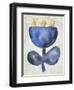 Sea Flower VI-Chariklia Zarris-Framed Art Print