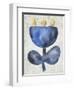 Sea Flower VI-Chariklia Zarris-Framed Art Print