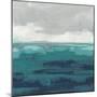 Sea Foam Vista II-June Vess-Mounted Art Print