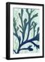 Sea Forest II-Grace Popp-Framed Art Print