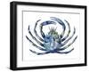 Sea Friends 2-Marcus Prime-Framed Art Print