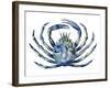 Sea Friends 2-Marcus Prime-Framed Art Print