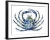 Sea Friends 2-Marcus Prime-Framed Art Print