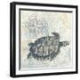 Sea Friends II-Piper Ballantyne-Framed Art Print