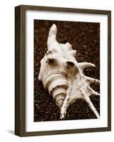 Sea Gallery I-Boyce Watt-Framed Art Print