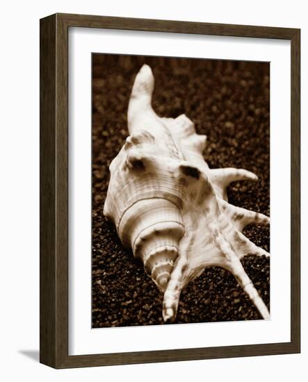 Sea Gallery I-Boyce Watt-Framed Art Print