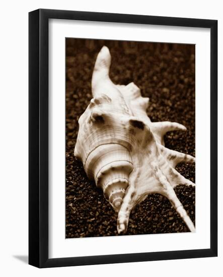 Sea Gallery I-Boyce Watt-Framed Art Print