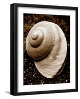 Sea Gallery II-Boyce Watt-Framed Art Print