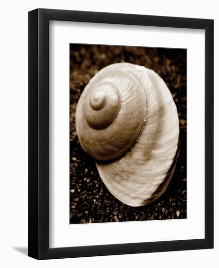 Sea Gallery II-Boyce Watt-Framed Art Print