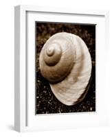 Sea Gallery II-Boyce Watt-Framed Art Print