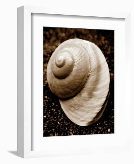 Sea Gallery II-Boyce Watt-Framed Art Print