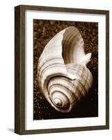 Sea Gallery IV-Boyce Watt-Framed Art Print