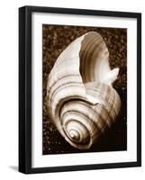 Sea Gallery IV-Boyce Watt-Framed Art Print