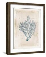 Sea Garden II-Katie Pertiet-Framed Art Print