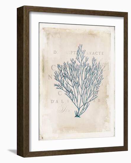 Sea Garden II-Katie Pertiet-Framed Art Print