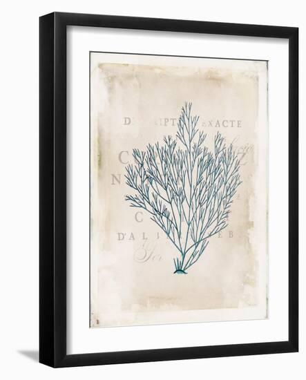 Sea Garden II-Katie Pertiet-Framed Art Print