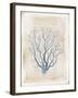 Sea Garden V-Katie Pertiet-Framed Art Print