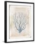 Sea Garden V-Katie Pertiet-Framed Art Print