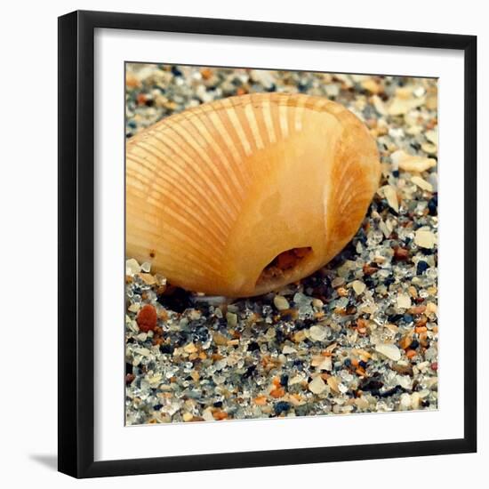 Sea Glass I-Lisa Hill Saghini-Framed Premium Photographic Print
