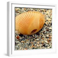 Sea Glass I-Lisa Hill Saghini-Framed Photographic Print