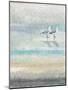 Sea Glass Shore 2-Norman Wyatt Jr^-Mounted Art Print