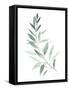 Sea Glass Sprig I-Grace Popp-Framed Stretched Canvas