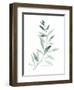 Sea Glass Sprig II-Grace Popp-Framed Art Print