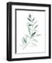 Sea Glass Sprig II-Grace Popp-Framed Art Print