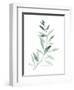 Sea Glass Sprig II-Grace Popp-Framed Art Print