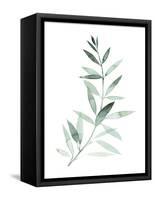 Sea Glass Sprig II-Grace Popp-Framed Stretched Canvas