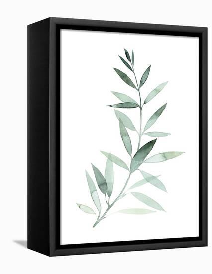 Sea Glass Sprig II-Grace Popp-Framed Stretched Canvas