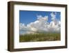 Sea grass and oats frame the dramatic cloudy sky-Sheila Haddad-Framed Photographic Print
