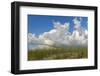 Sea grass and oats frame the dramatic cloudy sky-Sheila Haddad-Framed Photographic Print