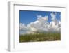 Sea grass and oats frame the dramatic cloudy sky-Sheila Haddad-Framed Photographic Print