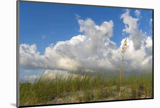 Sea grass and oats frame the dramatic cloudy sky-Sheila Haddad-Mounted Photographic Print