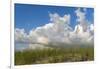 Sea grass and oats frame the dramatic cloudy sky-Sheila Haddad-Framed Photographic Print