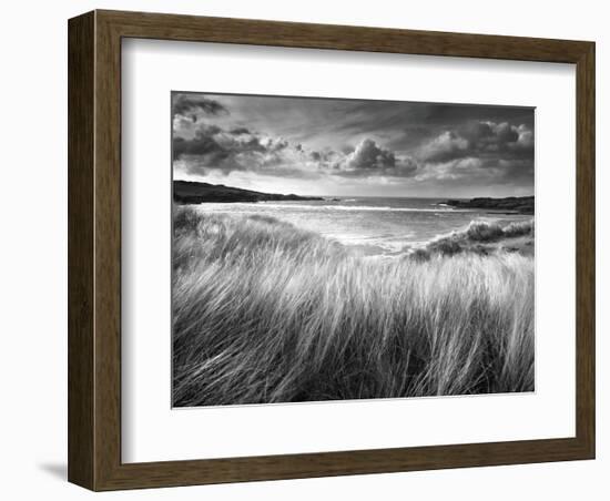 Sea Grass-Stephen Gassman-Framed Art Print