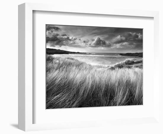 Sea Grass-Stephen Gassman-Framed Art Print