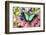 Sea Green Swallowtail Butterfly, Papilio-Darrell Gulin-Framed Photographic Print