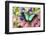 Sea Green Swallowtail Butterfly, Papilio-Darrell Gulin-Framed Photographic Print