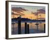 Sea Gull and Sails-Bruce Dumas-Framed Giclee Print