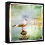 Sea Gull-Artistic Retro Styled Picture-Maugli-l-Framed Stretched Canvas