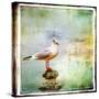 Sea Gull-Artistic Retro Styled Picture-Maugli-l-Stretched Canvas