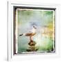 Sea Gull-Artistic Retro Styled Picture-Maugli-l-Framed Art Print