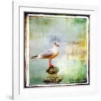 Sea Gull-Artistic Retro Styled Picture-Maugli-l-Framed Art Print